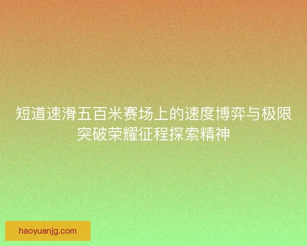 短道速滑五百米赛场上的速度博弈与极限突破荣耀征程探索精神