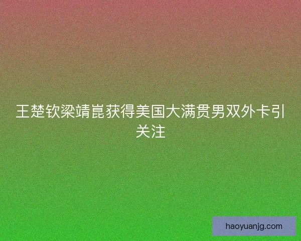 王楚钦梁靖崑获得美国大满贯男双外卡引关注